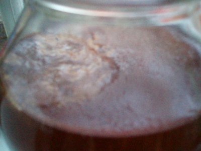 left scoby